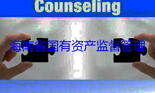 资产监督管理委员会党有福接受审委副书记王海南省国有查调查